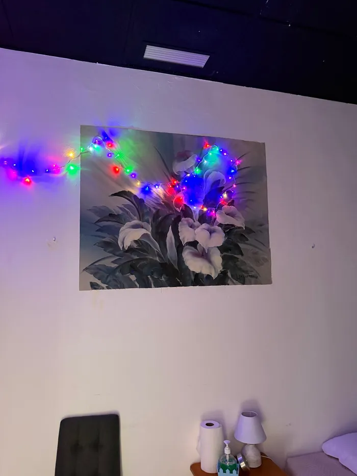 Sala con un cuadro de flores y luces de colores